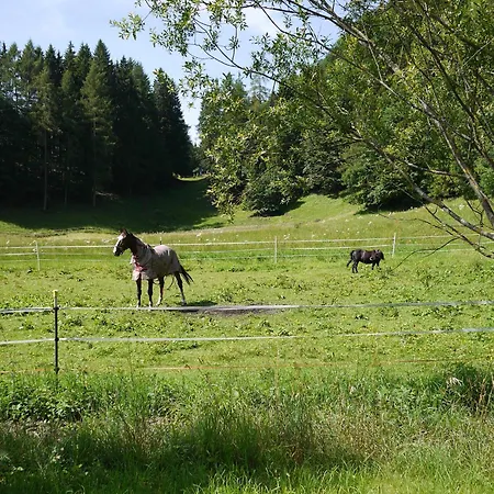 Ideale Familienunterkunft In Absoluter Idylle Im Landschaftsschutzgebiet