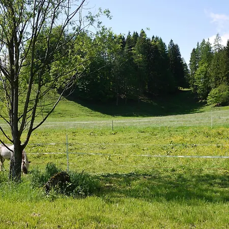 Apartment Ideale Familienunterkunft In Absoluter Idylle Im Landschaftsschutzgebiet Kiefersfelden