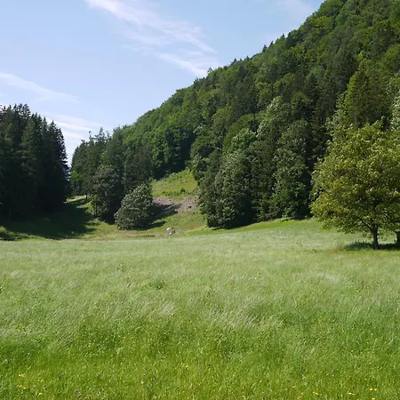 Ideale Familienunterkunft In Absoluter Idylle Im Landschaftsschutzgebiet キーフェルスフェルデン